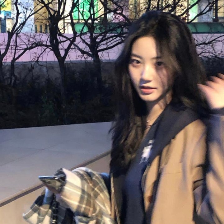 海豚的故事2